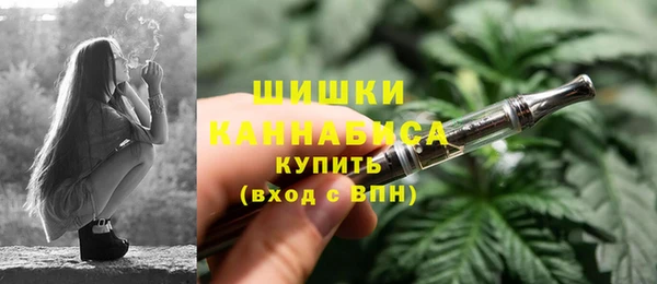 ПСИЛОЦИБИНОВЫЕ ГРИБЫ Балабаново