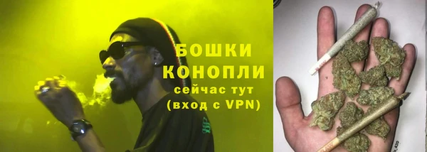 ГАЛЛЮЦИНОГЕННЫЕ ГРИБЫ Баксан