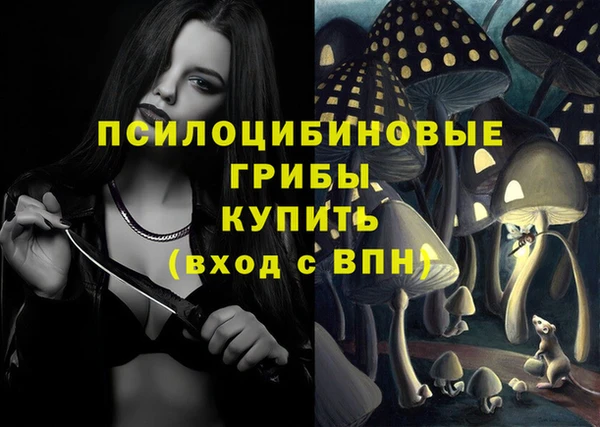 ПСИЛОЦИБИНОВЫЕ ГРИБЫ Балабаново