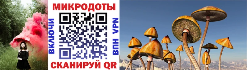 наркошоп  Джанкой  Псилоцибиновые грибы Psilocybine cubensis 